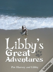 Capa do artigo Libby
