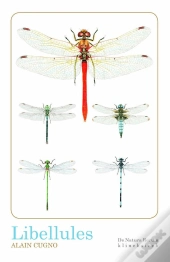 Libellules