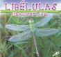 Libelulas - Preview