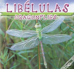 Capa do artigo Libelulas