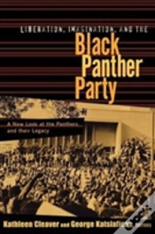 Capa do artigo Liberation, Imagination And The Black Panther Party