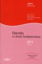 Libertés Et Droits Fondamentaux (Édition 2012) - Preview