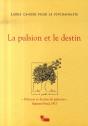 Libres Cahiers Pour La Psychanalyse Tome 15 : La Pulsion Et Le Destin - Preview