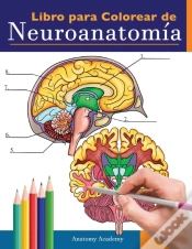 Capa do artigo Libro Para Colorear De Neuroanatom A: Li