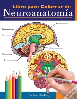 Capa do artigo Libro Para Colorear De Neuroanatom A: Li