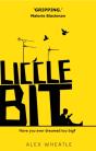 Liccle Bit - Preview
