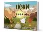 Lichen Et Le Drôle De Caillou - Preview