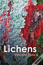 Capa do artigo Lichens