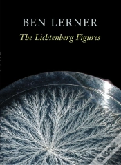 Capa do artigo Lichtenberg Figures