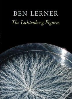 Capa do artigo Lichtenberg Figures