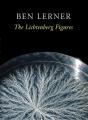 Lichtenberg Figures - Preview