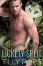 Lickety Split - Preview