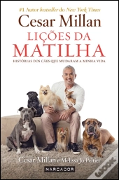 Lições da Matilha