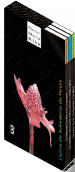 Capa do artigo Lições de Sabedoria do Poeta