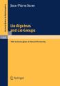 Lie Algebras And Lie Groups - Preview