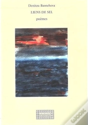 Capa do artigo Lien De Sel