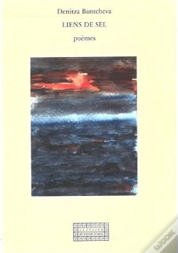Capa do artigo Lien De Sel