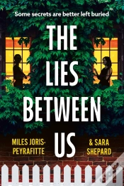 Capa do artigo Lies Between Us