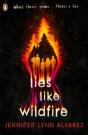 Lies Like Wildfire - Preview