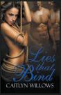 Lies That Bind - Preview