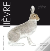 Capa do artigo Lièvre