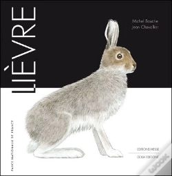 Capa do artigo Lièvre