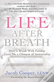 Capa do artigo Life After Breath