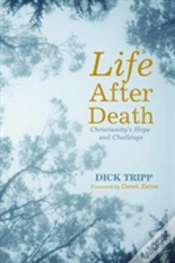 Capa do artigo Life After Death