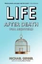 Life After Death For Beginners - Preview