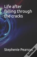 Life After Falling Through The Cracks