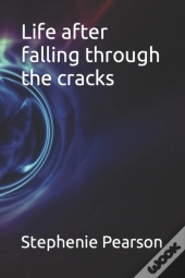 Life After Falling Through The Cracks