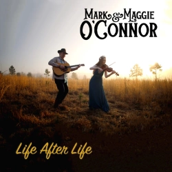 Capa do artigo Life After Life - Vinil