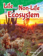 Life And Non-Life In An Ecosystem