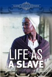 Capa do artigo Life As A Slave