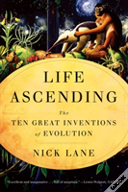 Capa do artigo Life Ascending