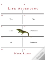 Capa do artigo Life Ascending