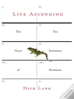 Capa do artigo Life Ascending