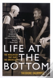 Capa do artigo Life At The Bottom