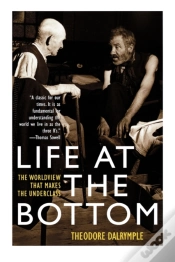 Capa do artigo Life At The Bottom
