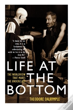 Capa do artigo Life At The Bottom