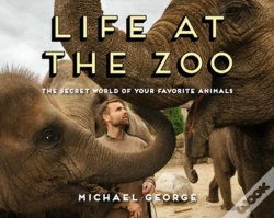 Capa do artigo Life At The Zoo