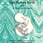 Life Before Birth And A Time To Be Born - Preview