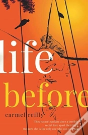 Capa do artigo Life Before