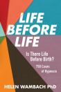 Life Before Life - Preview