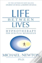 Capa do artigo Life Between Lives
