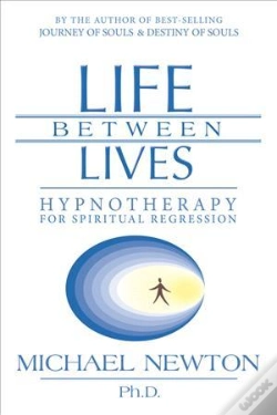 Capa do artigo Life Between Lives