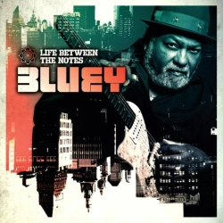 Capa do artigo Life Between the Notes - CD