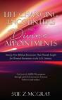 Life Changing Encounters And Divine Appo - Preview