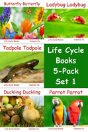 Life Cycle Books 5-Pack Set 1 - Preview