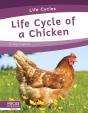 Life Cycle Of A Chicken - Preview